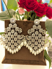 Stunning earrings tikka jewellery set